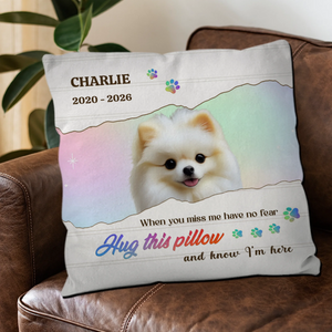 Hug This Pillow And Know I’m Here – Signature Dog Memorial Pillow Gift - 89Prints