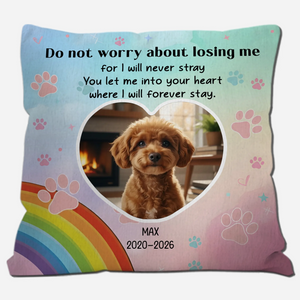 Do Not Worry About Losing Me Pillow – One-Of-A-Kind Present For Dog Owners – 89Prints
