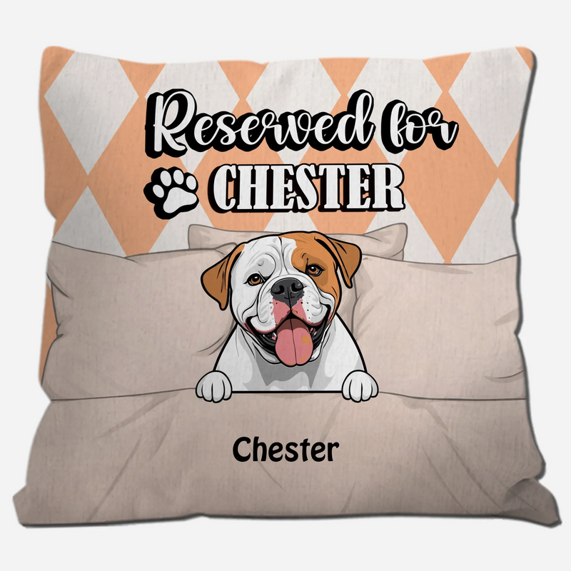 Reserved For Chester Pillow – One-Of-A-Kind Gift Idea For Dog Owners – 89Prints