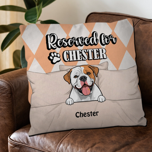 Reserved For Chester Pillow – One-Of-A-Kind Gift Idea For Dog Owners – 89Prints