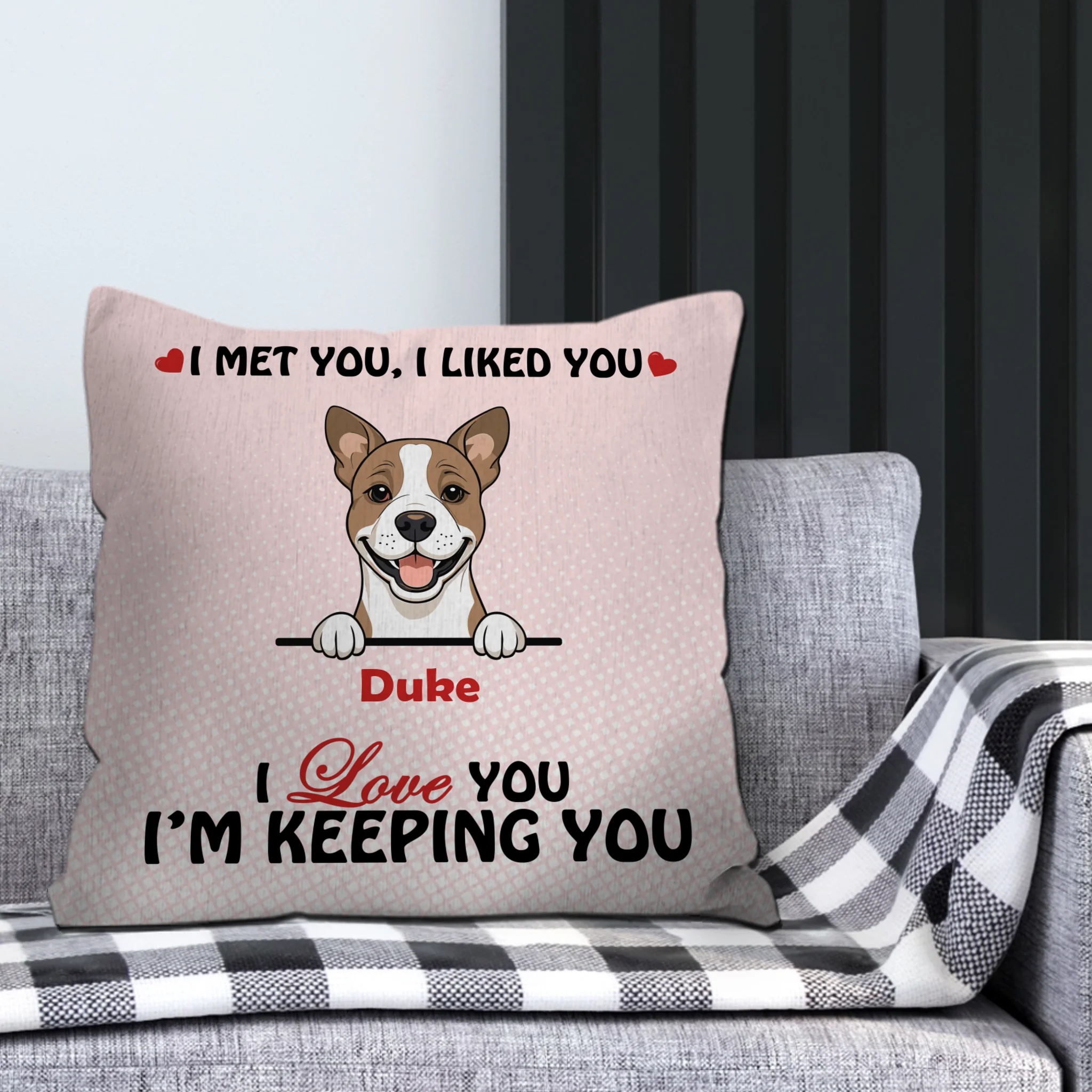 We Met You, We Liked You Pillow – Emotional Gift From The Dog – 89Prints
