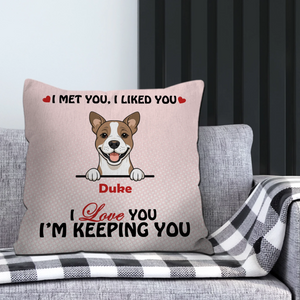 We Met You, We Liked You Pillow – Emotional Gift From The Dog – 89Prints