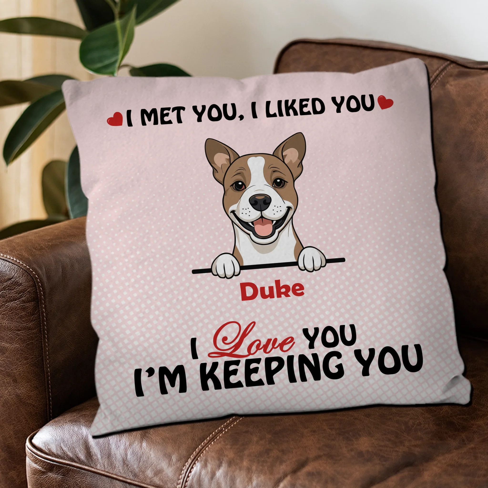 We Met You, We Liked You Pillow – Emotional Gift From The Dog – 89Prints