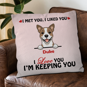 We Met You, We Liked You Pillow – Emotional Gift From The Dog – 89Prints