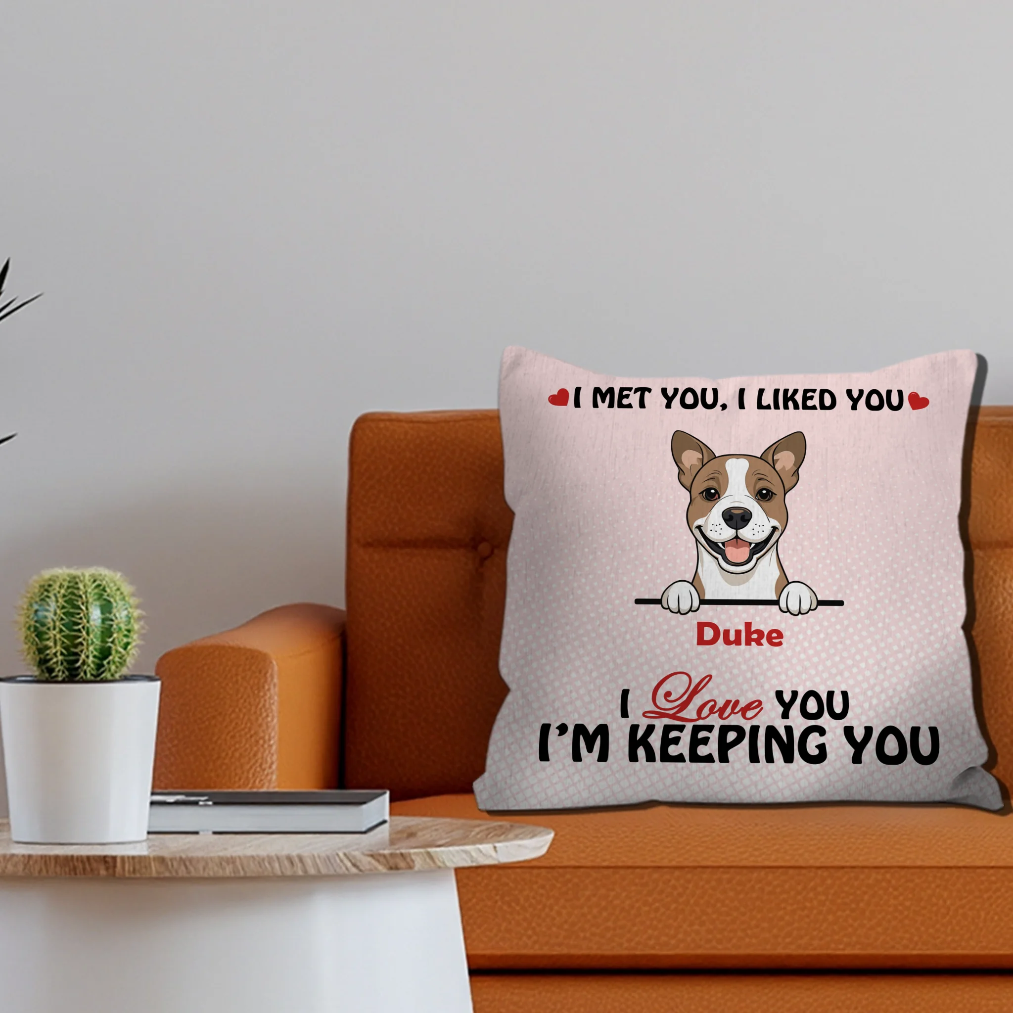 We Met You, We Liked You Pillow – Emotional Gift From The Dog – 89Prints