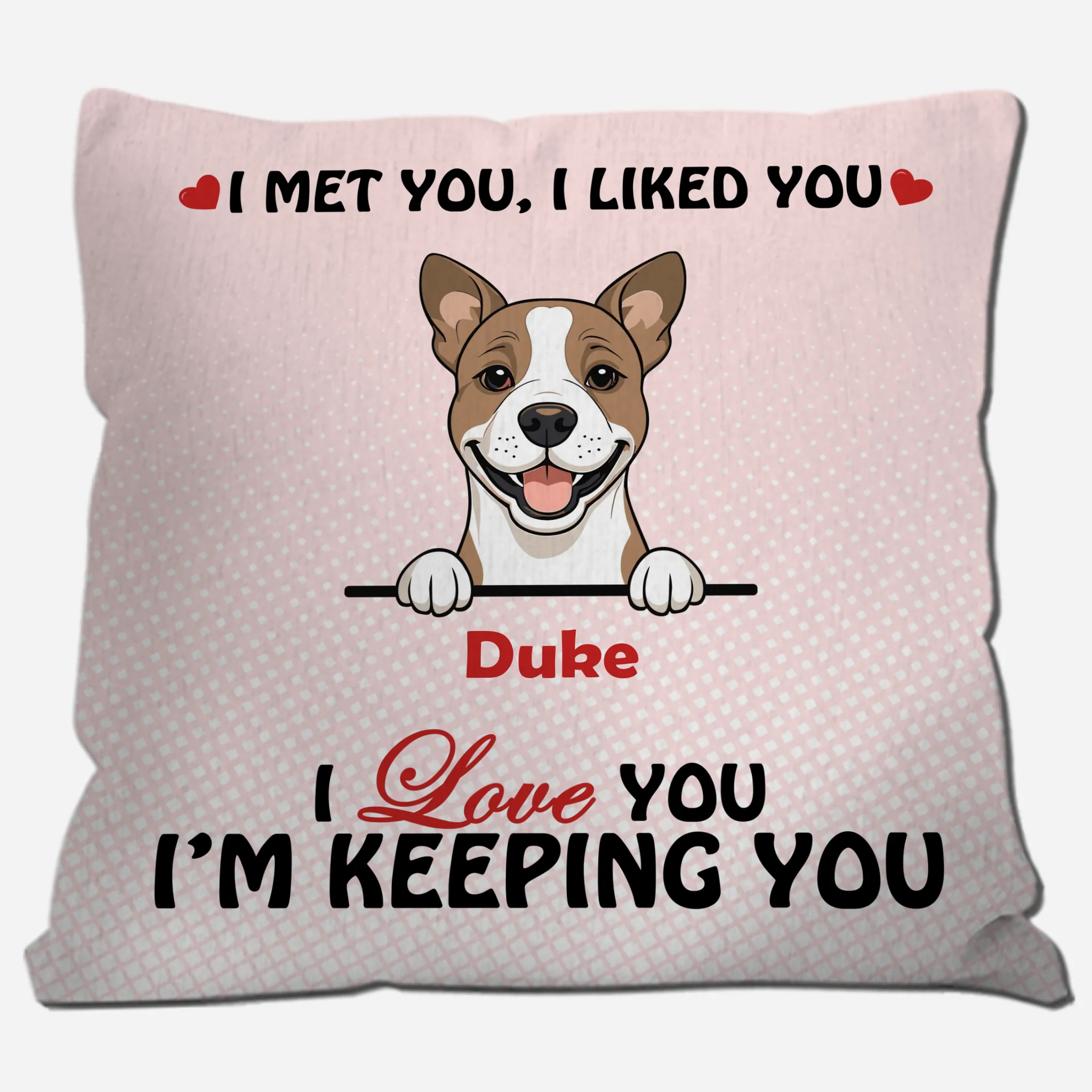 We Met You, We Liked You Pillow – Emotional Gift From The Dog – 89Prints