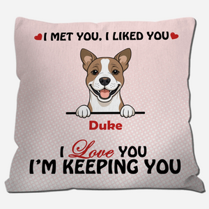 We Met You, We Liked You Pillow – Emotional Gift From The Dog – 89Prints