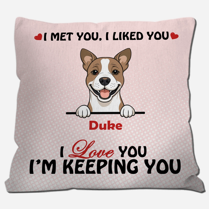 We Met You, We Liked You Pillow – Emotional Gift From The Dog – 89Prints