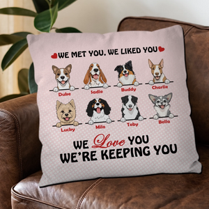 We Met You, We Liked You Pillow – Emotional Gift From The Dog – 89Prints
