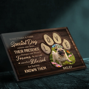 Personalized Pug Canvas - Meaningful Gift Sometimes A Very Special Dog Enters Our Lives | 89Prints