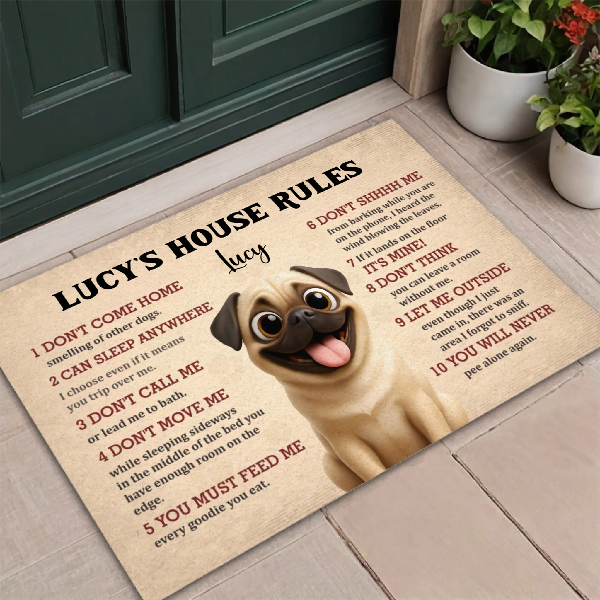 Personalized Pug Doormat – Funny House Rules Mat For Dog Lovers | 89Prints