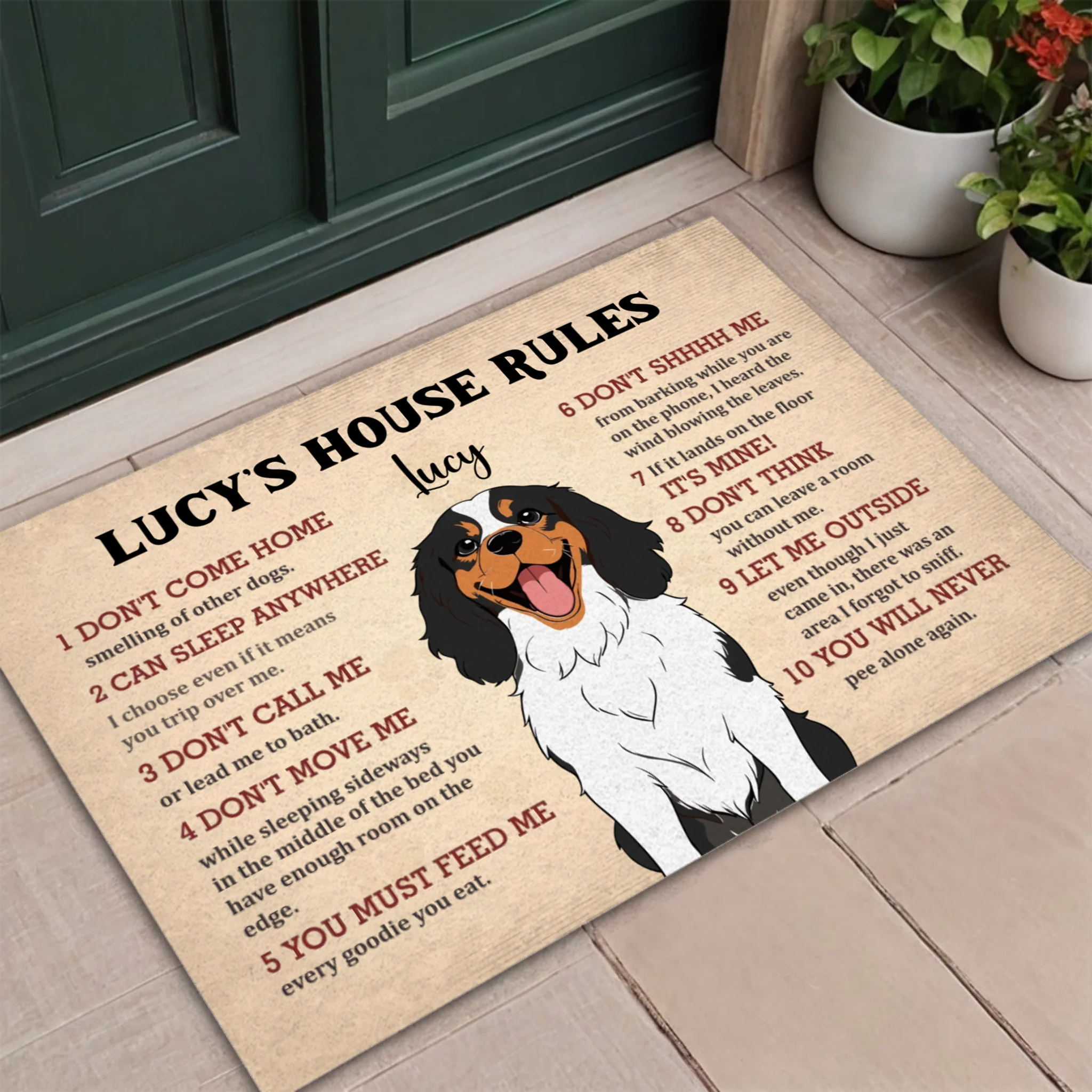 Personalized Dog Doormat – Funny House Rules Mat for Pet Lovers - 89Prints
