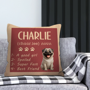 Personalized Pug Lover Pillow - Dog Dictionary Style Name Pillow | 89Prints