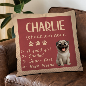 Personalized Pug Lover Pillow - Dog Dictionary Style Name Pillow | 89Prints
