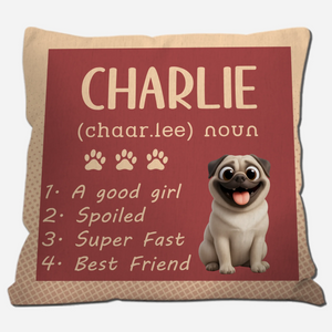 Personalized Pug Lover Pillow - Dog Dictionary Style Name Pillow | 89Prints