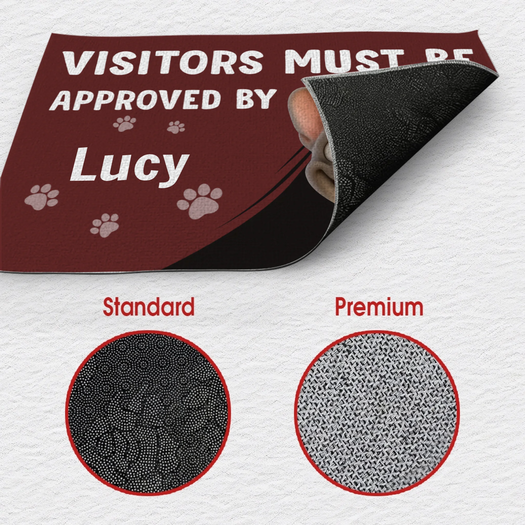 Doormat with Personalized French Bulldog Art – Funny Visitors Must Be Approved By