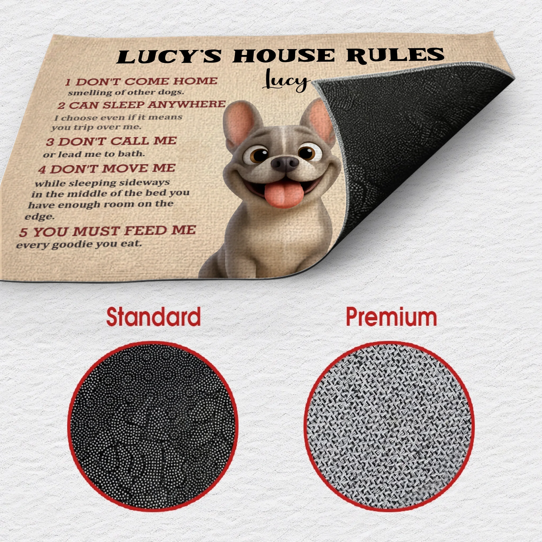 Custom Frenchie Doormat For Dog Lovers – 10 Dog House Funny Rules