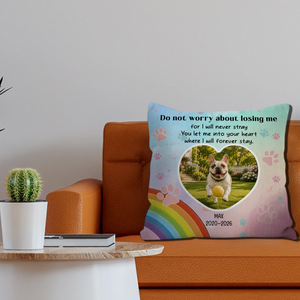 Unique Frenchie Pillow Gift For Dog Lovers – Do Not Worry About Losing Me