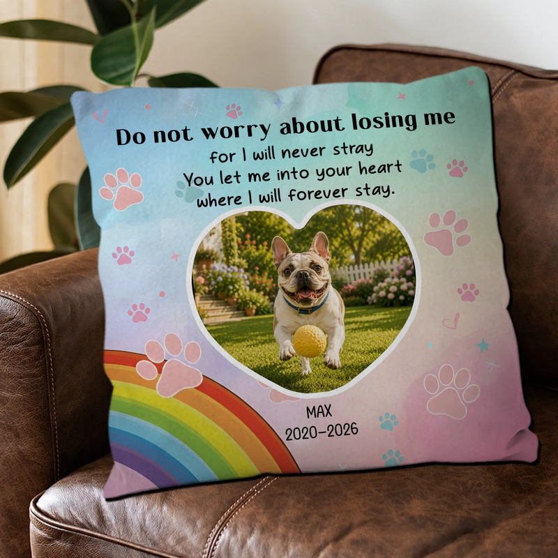 Unique Frenchie Pillow Gift For Dog Lovers – Do Not Worry About Losing Me