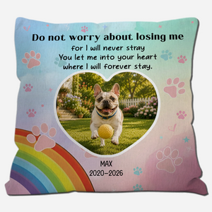 Unique Frenchie Pillow Gift For Dog Lovers – Do Not Worry About Losing Me